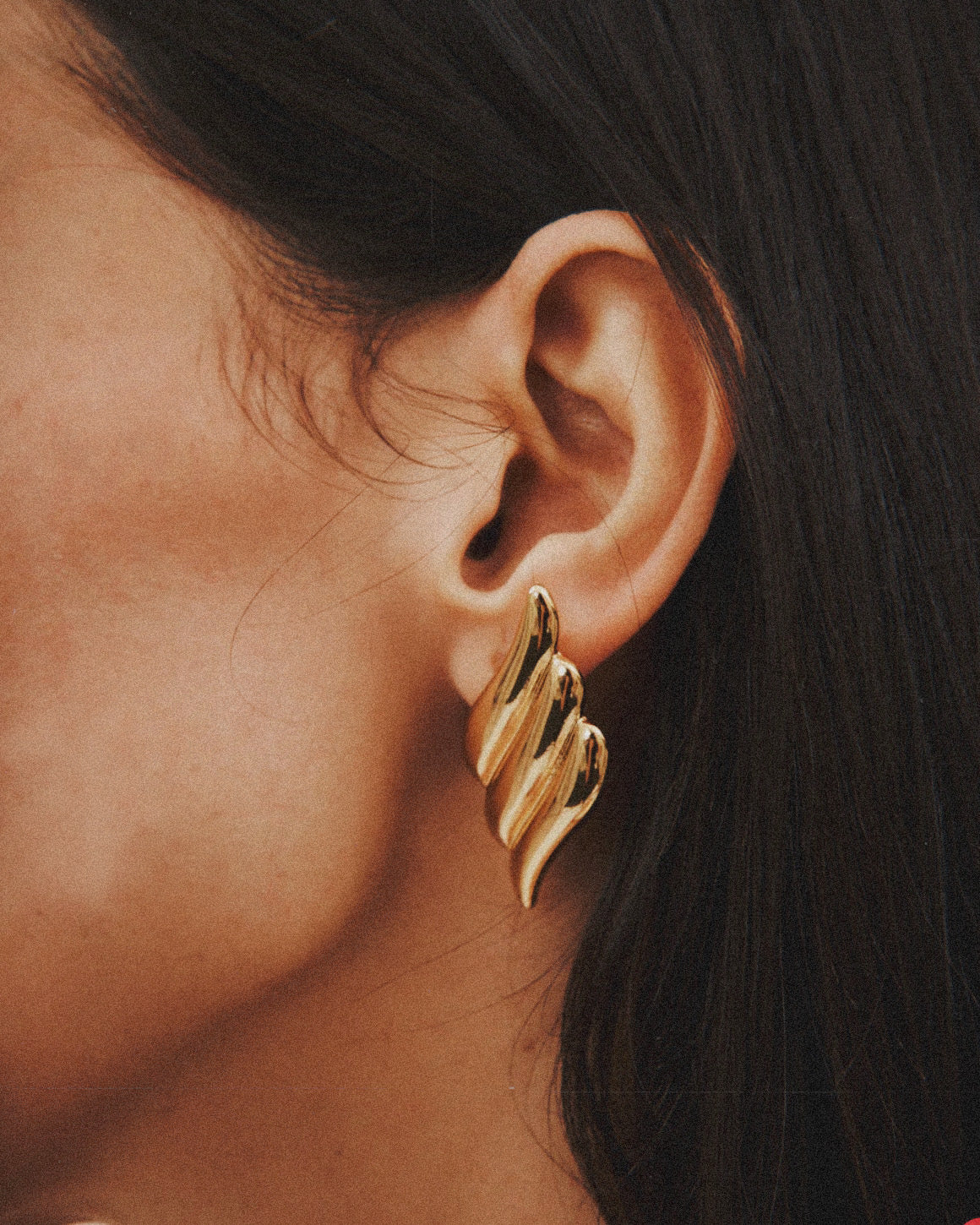 Aero Wing Earrings